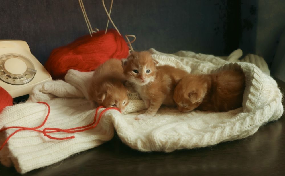 Photograph by Marina Ivanova