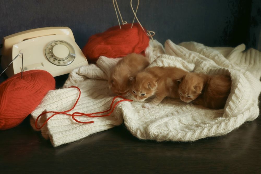 Photograph by Marina Ivanova