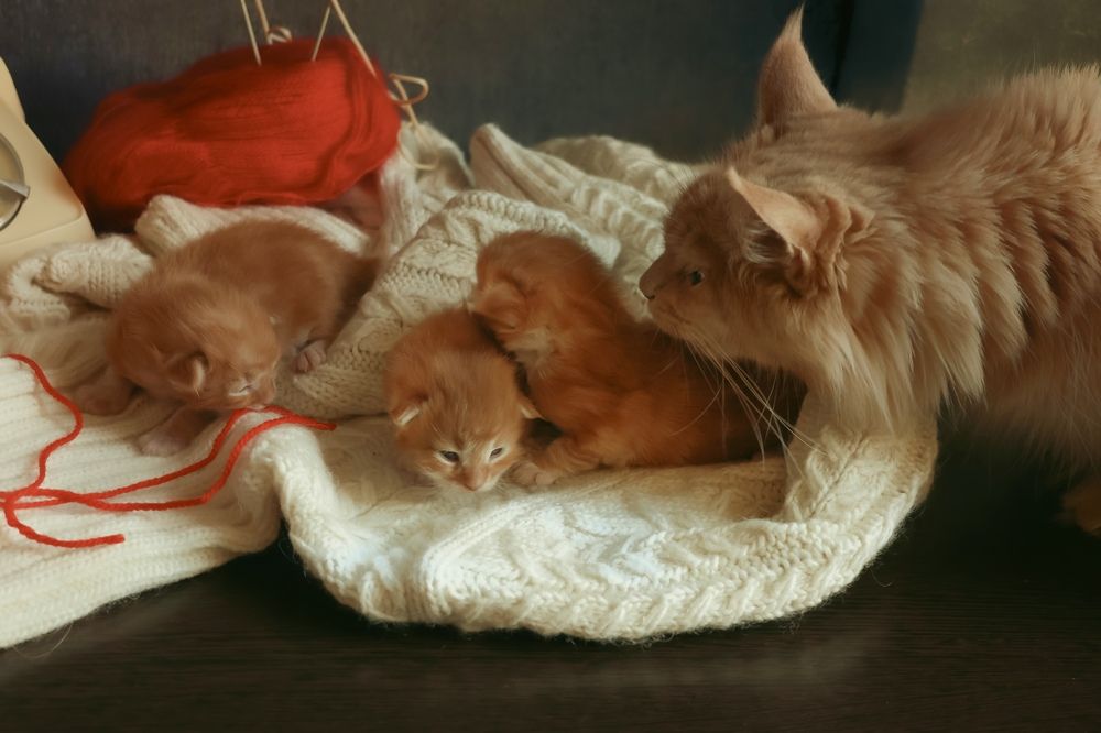 Photograph by Marina Ivanova