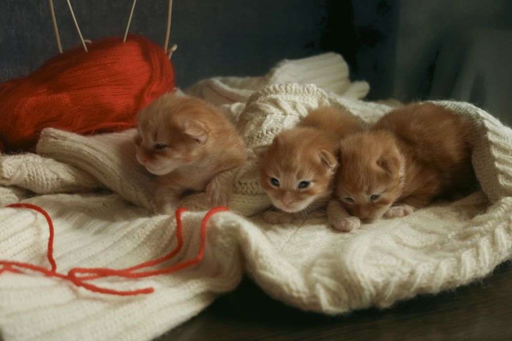 Photograph by Marina Ivanova