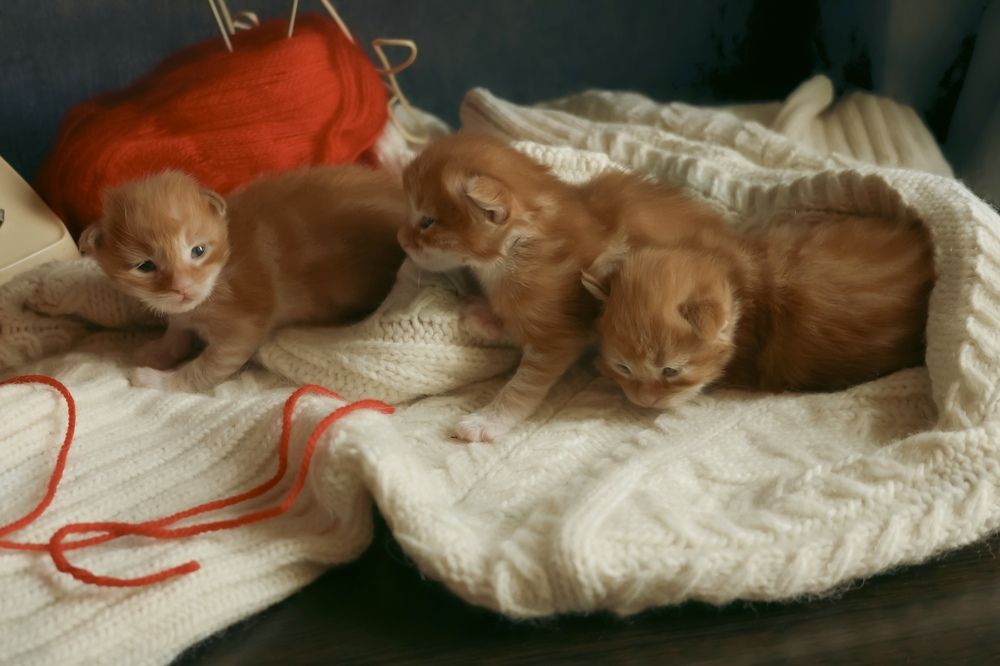 Photograph by Marina Ivanova