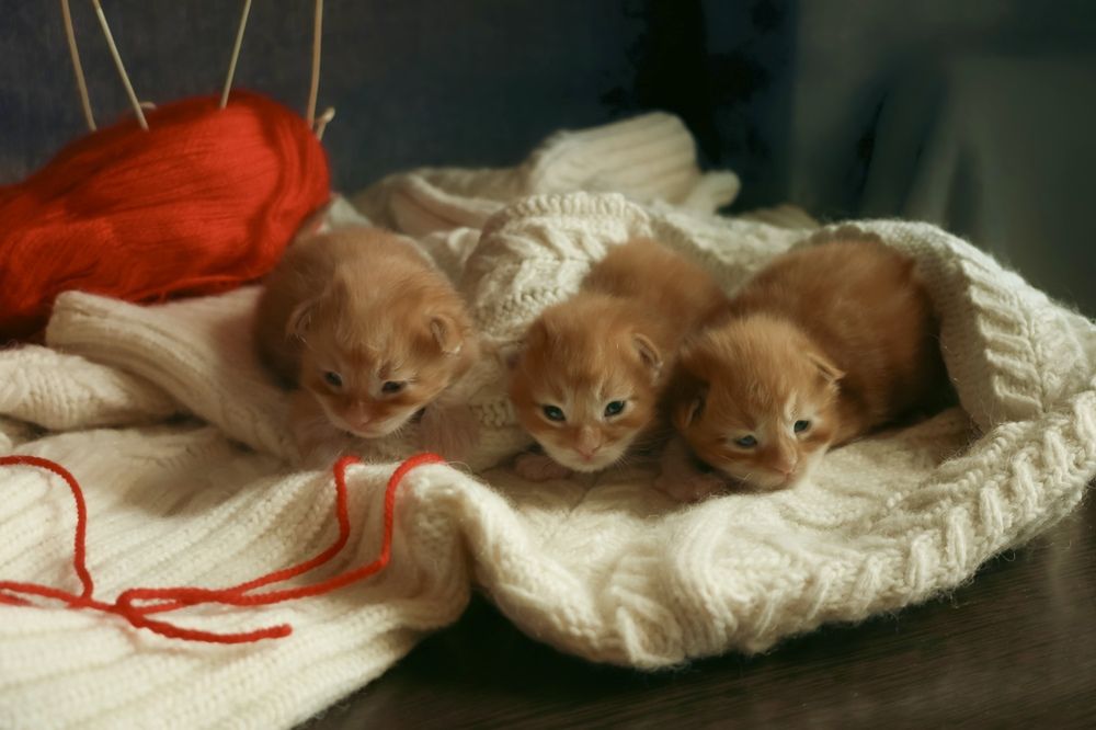 Photograph by Marina Ivanova