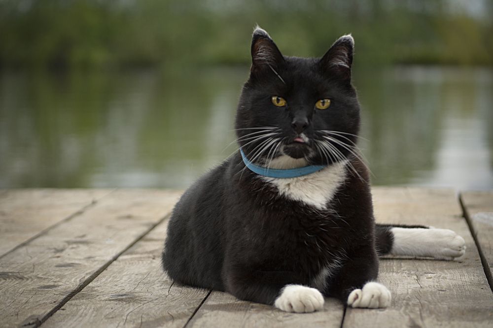 Photograph by Соколова Елена