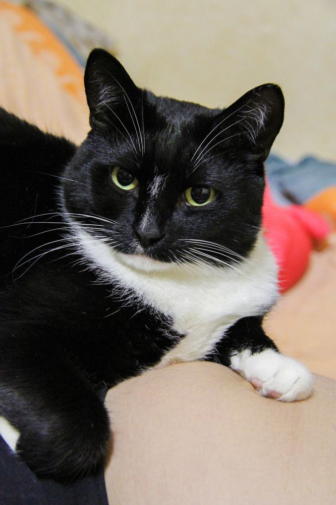 Photograph by Anton Hantov