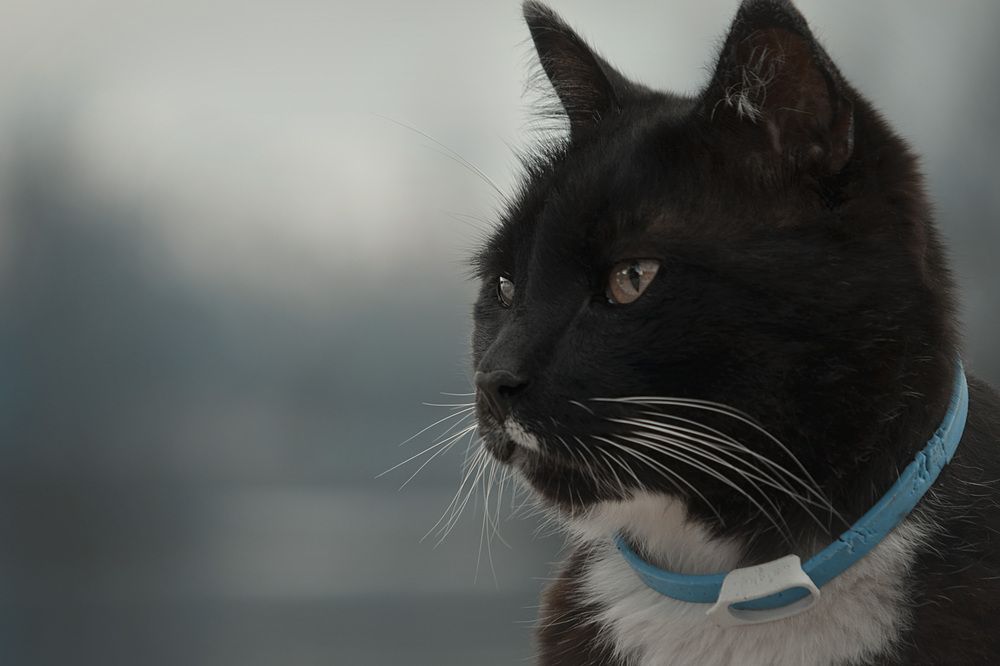 Photograph by Соколова Елена