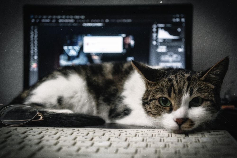 Photograph by DAMOUN POURNEMATI