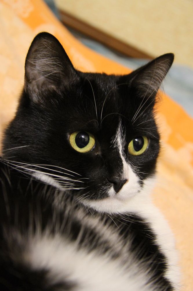 Photograph by Anton Hantov