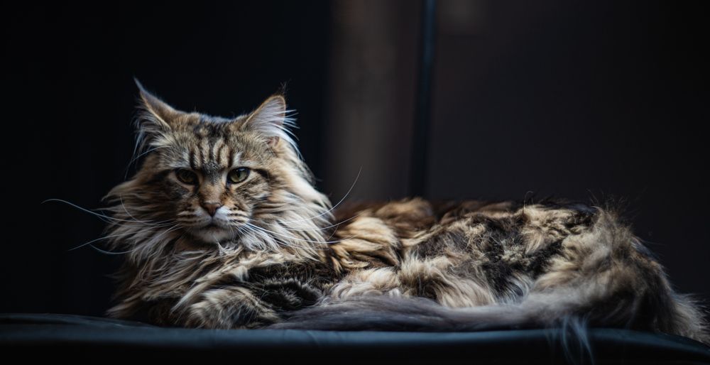 Photograph by Саша Зугров