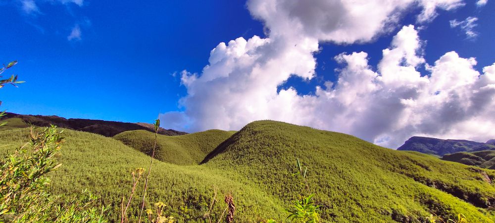 Photograph by Achintya Shyam Gohain