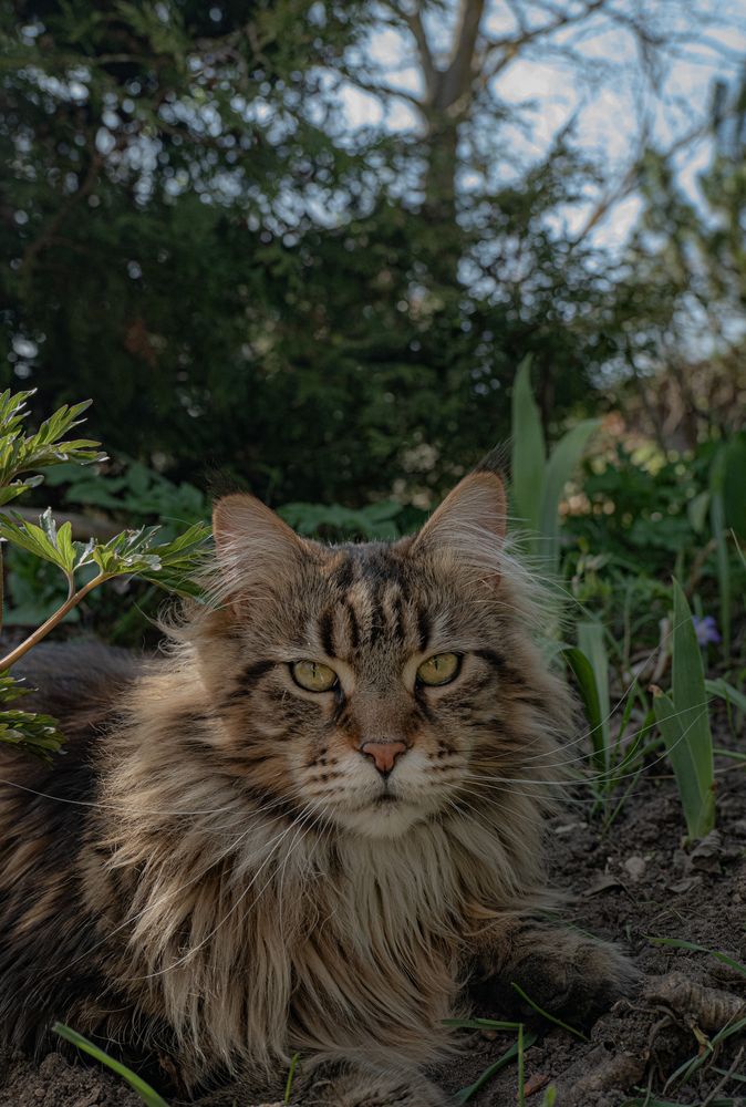 Photograph by Саша Зугров