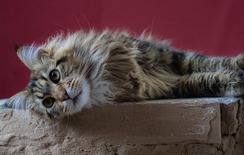 Photograph by Саша Зугров