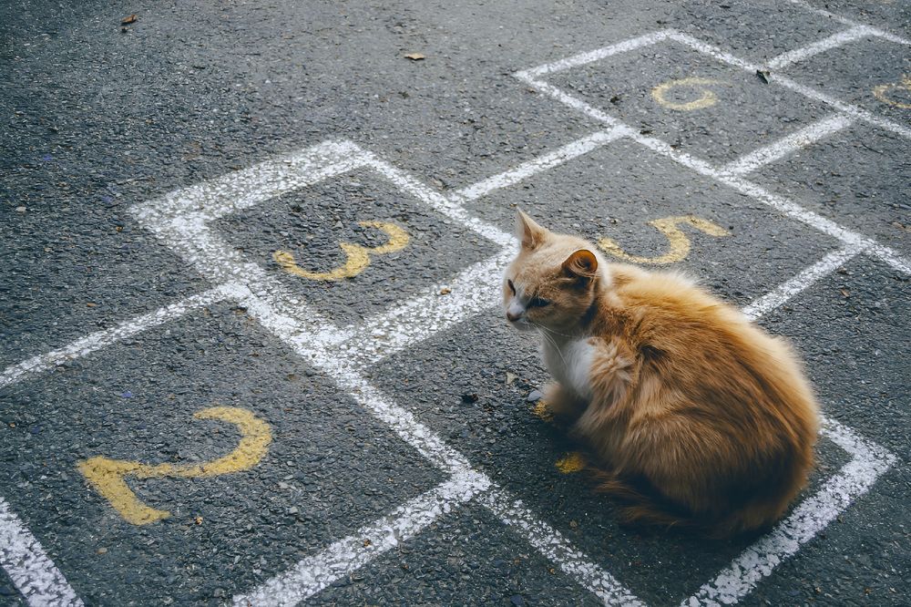 Photograph by Мартынов Константин