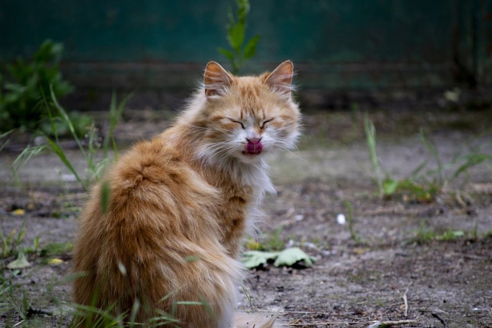 Photograph by Мартынов Константин