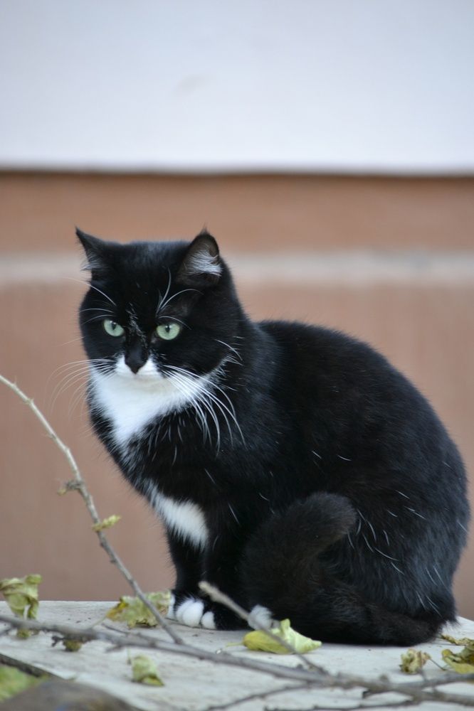 Photograph by Мартынов Константин