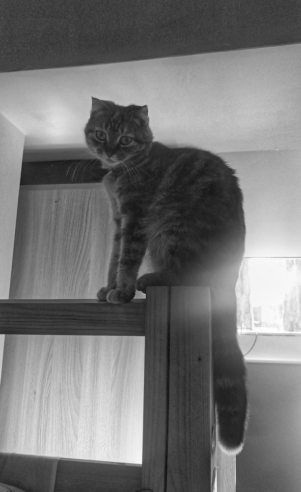 Photograph by Светлана Кучеренко