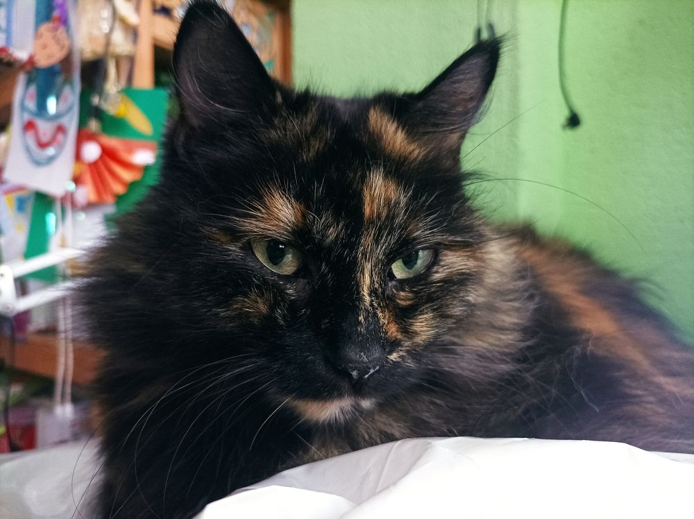 Photograph by Светлана Кучеренко