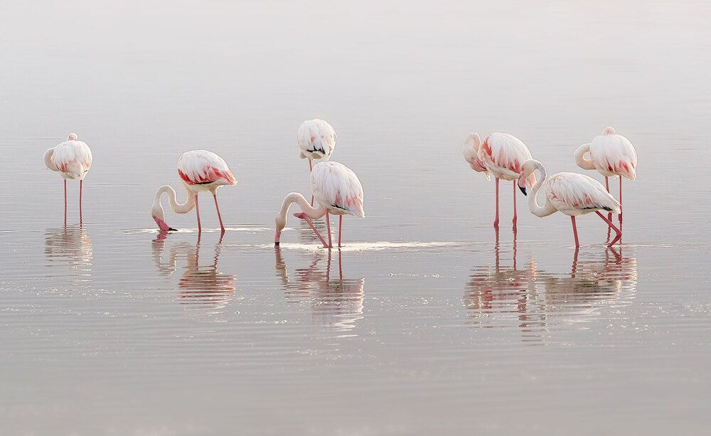 Photograph by Boris Bekelman