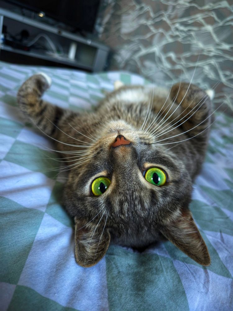 Photograph by Кирилл Сидоров