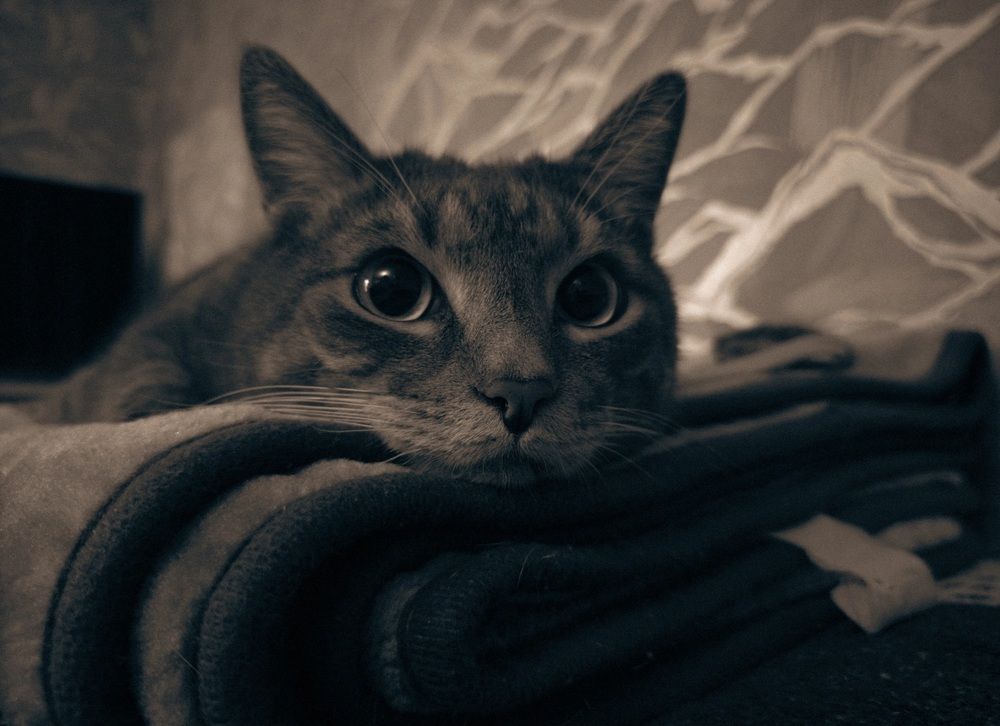 Photograph by Кирилл Сидоров