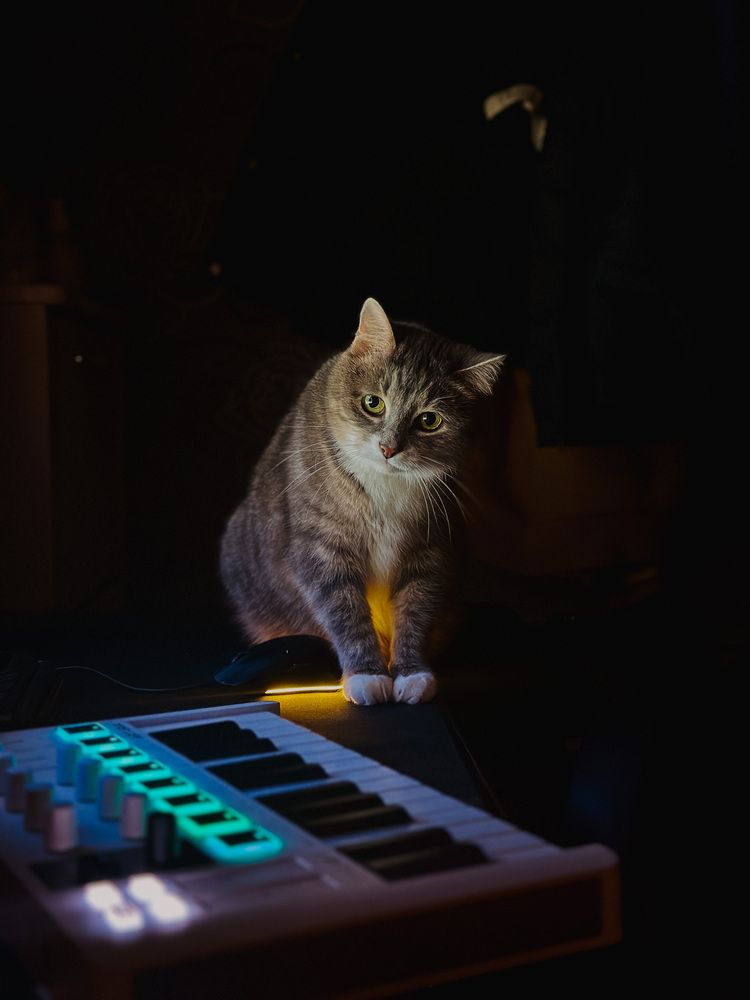 Photograph by Анна Титова