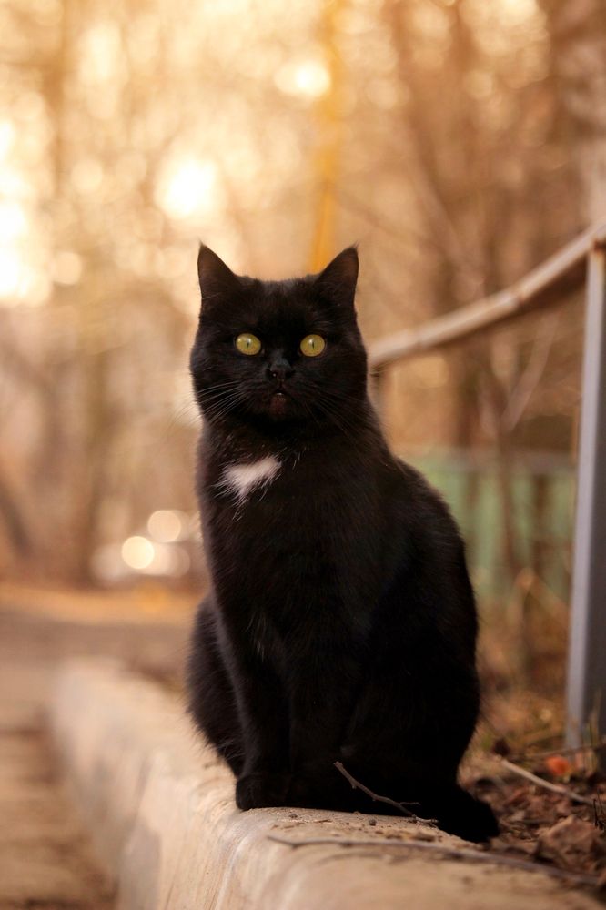 Photograph by Элина Абакумова