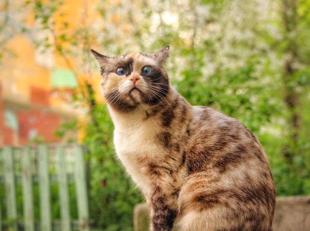 Photograph by Элина Абакумова