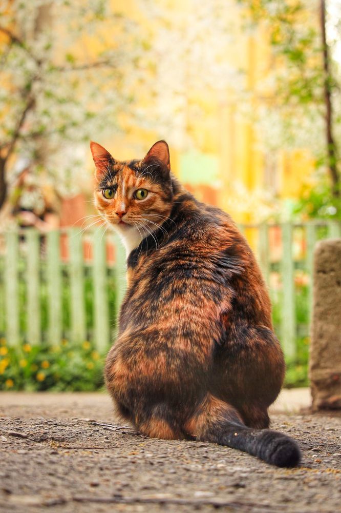 Photograph by Элина Абакумова