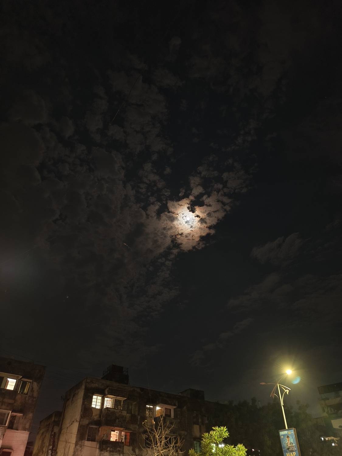 Photo #12241760