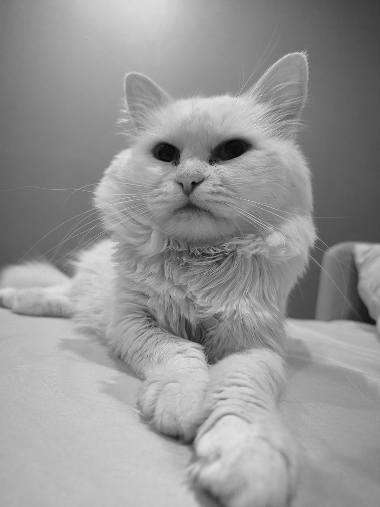 Photograph by Ольга Смолина