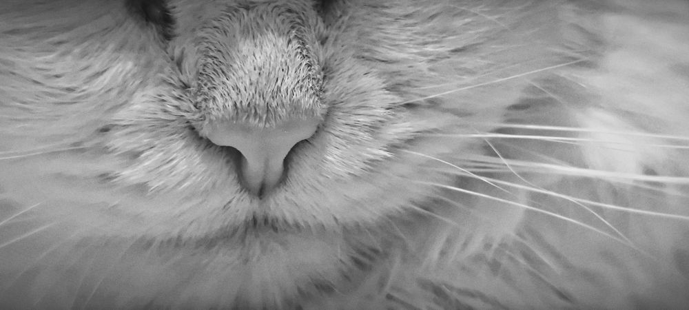 Photograph by Ольга Смолина