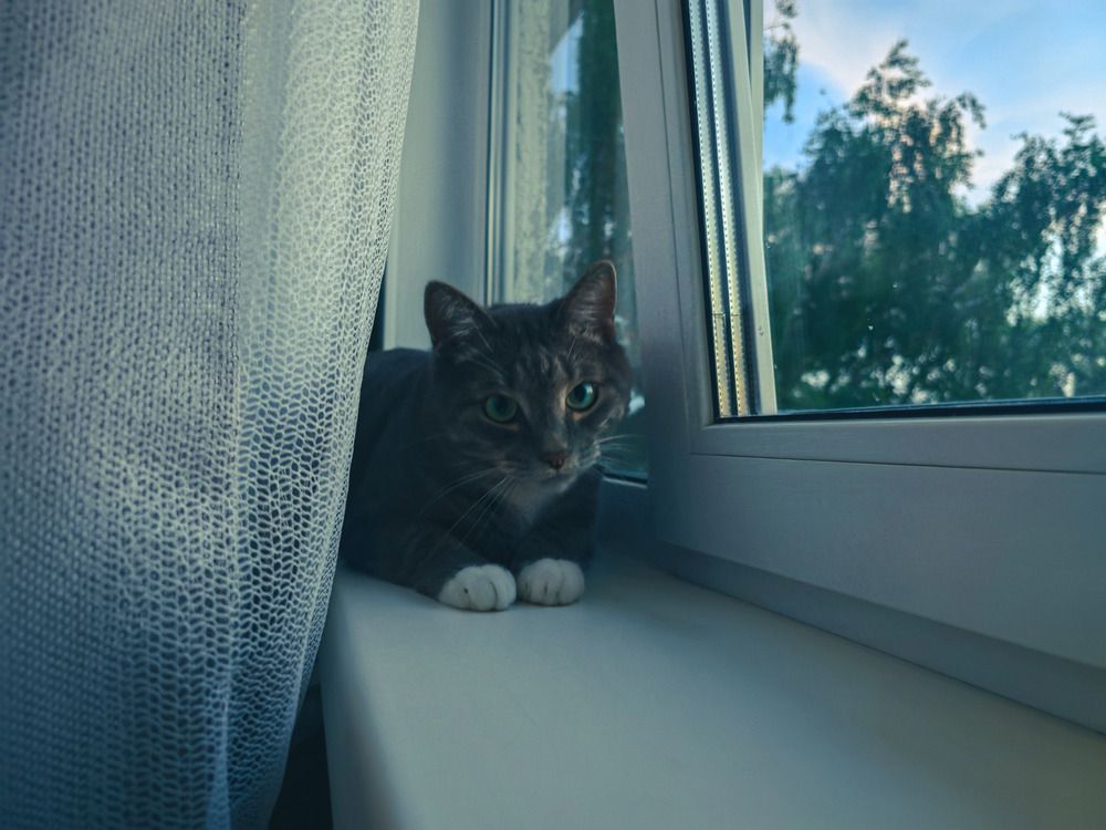 Photograph by Кирилл Сидоров