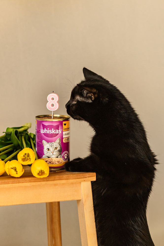 Photograph by Людмила Колесниченко