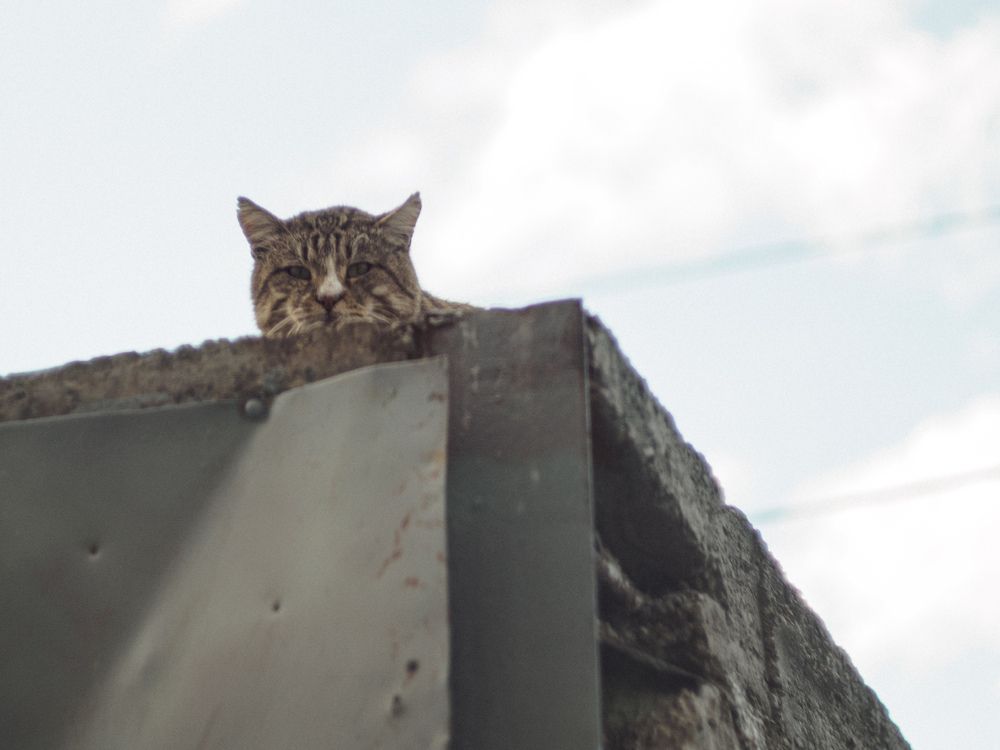 Photograph by Margarita Presidentova