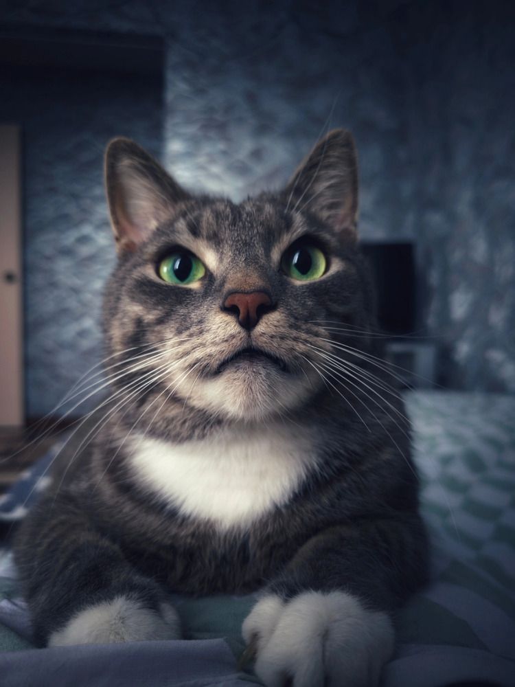 Photograph by Кирилл Сидоров