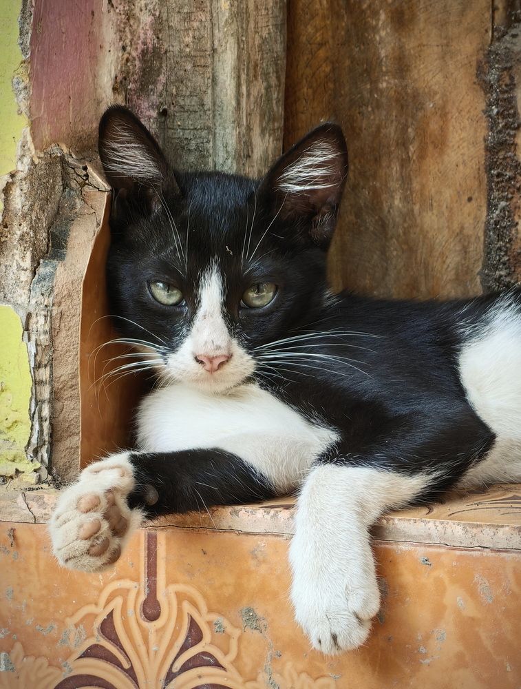 Photograph by Кристина Феминова