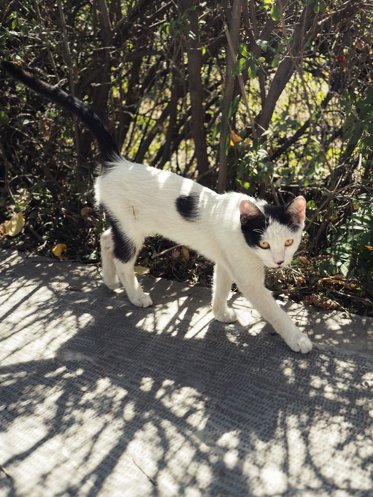 Photograph by Margarita Presidentova