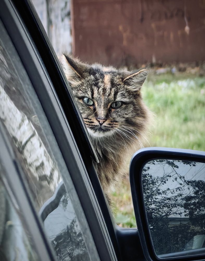 Photograph by Кристина Феминова