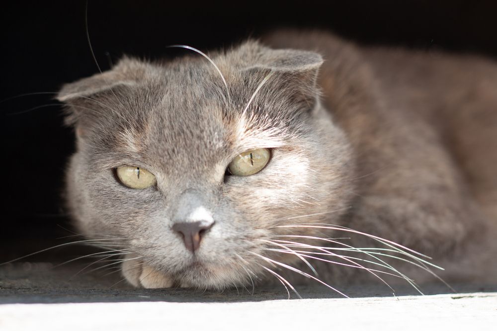 Photograph by Гришина Марина