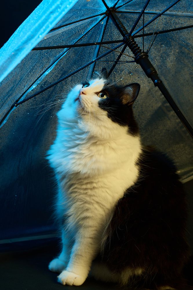 Photograph by Анна Опанасенко