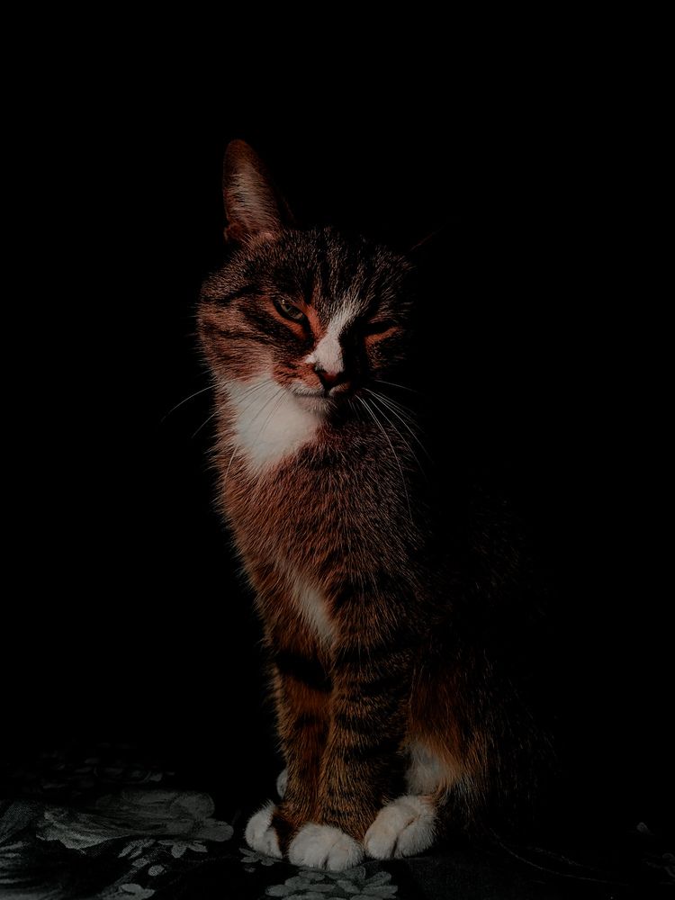 Photograph by Лариса