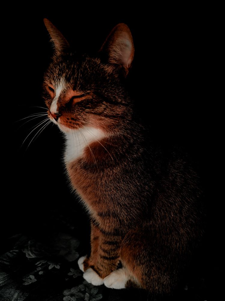 Photograph by Лариса