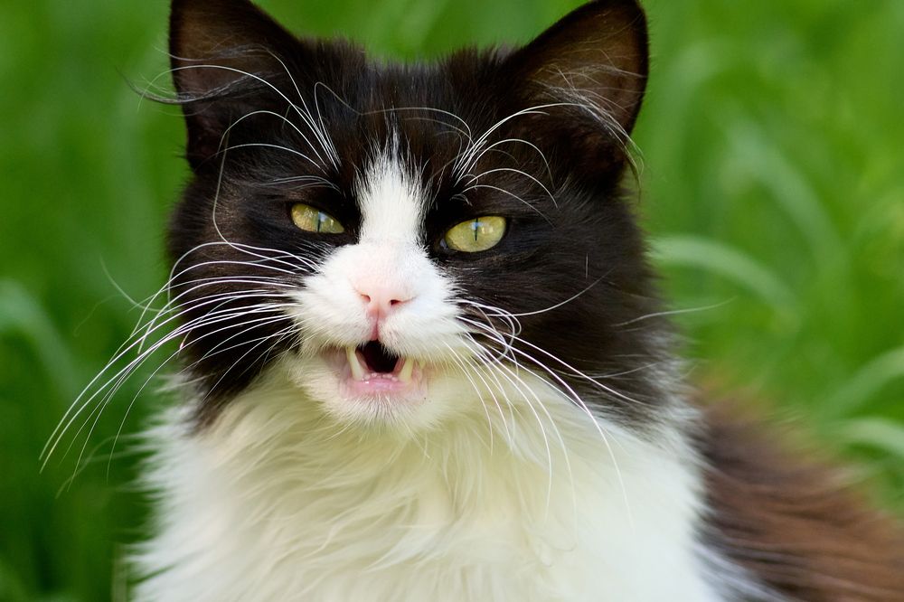 Photograph by Анна Опанасенко