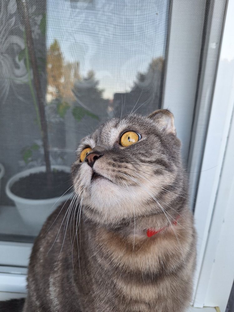 Фотография автора Даниил Барченко