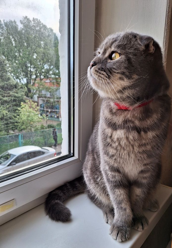 Фотография автора Даниил Барченко