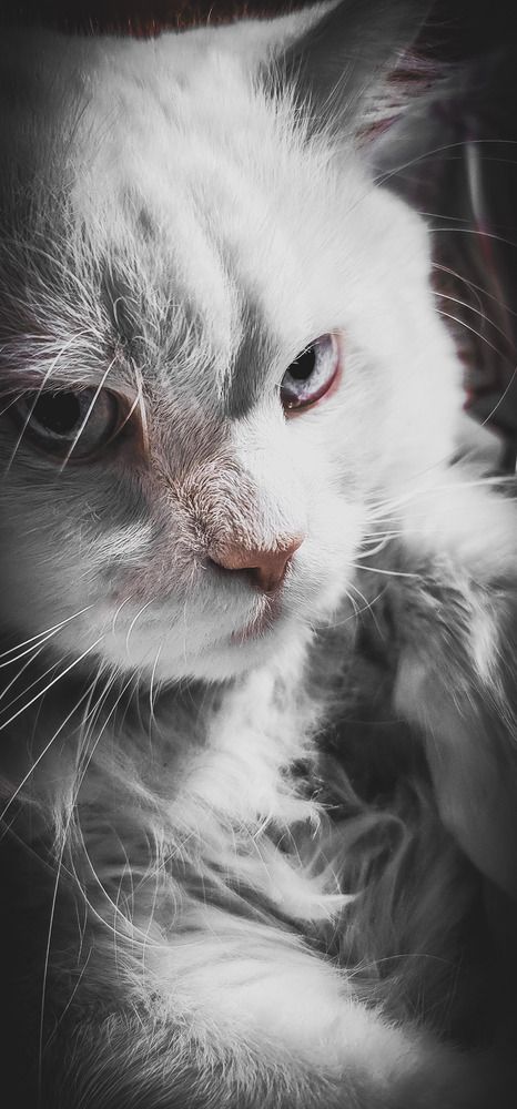 Photograph by Prima Warda