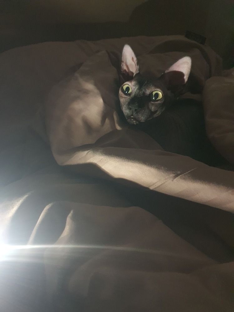 Photograph by Александр Мельниченко