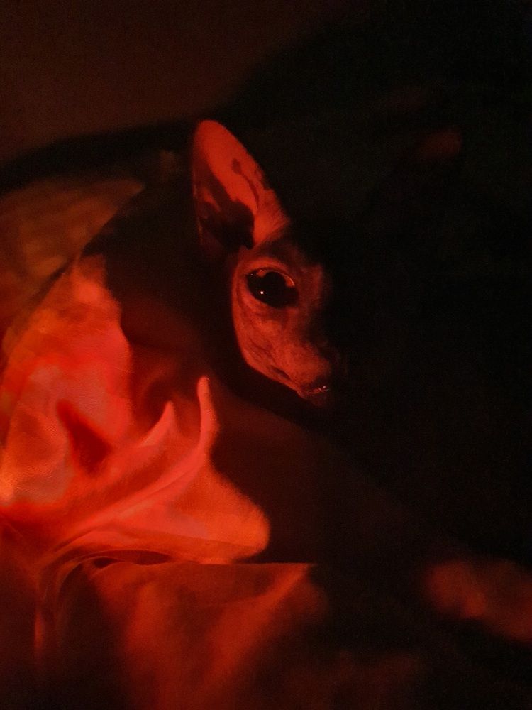 Photograph by Александр Мельниченко