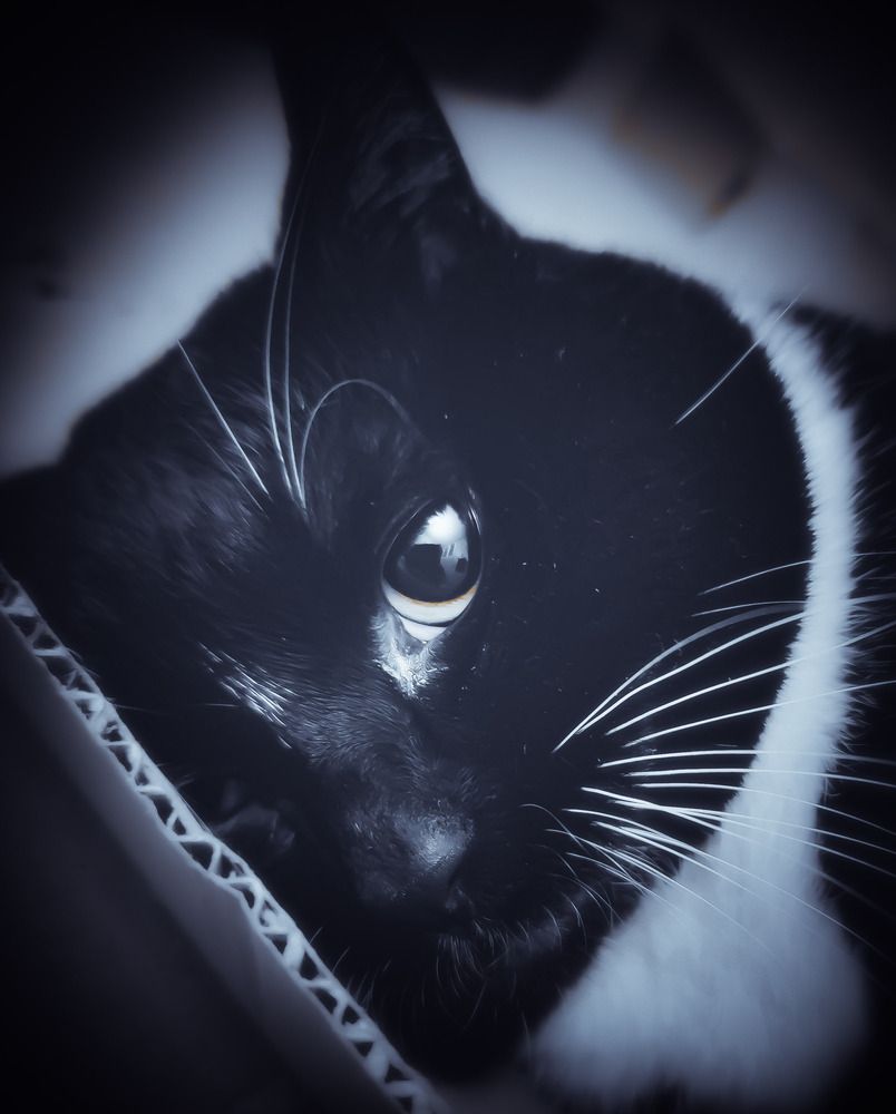 Photograph by Prima Warda