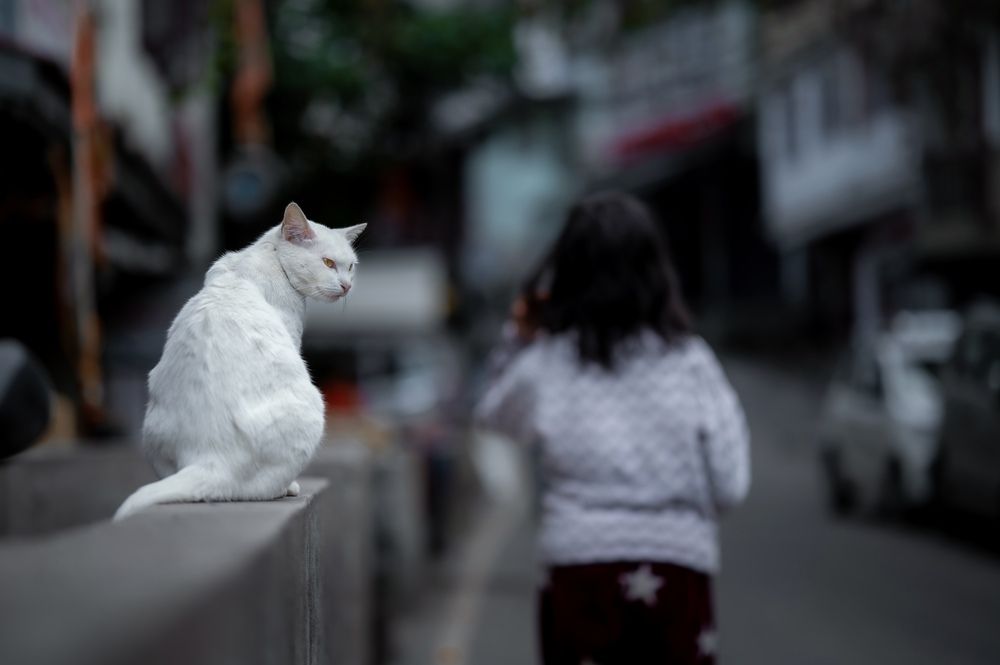 Photograph by Abhishek maurya