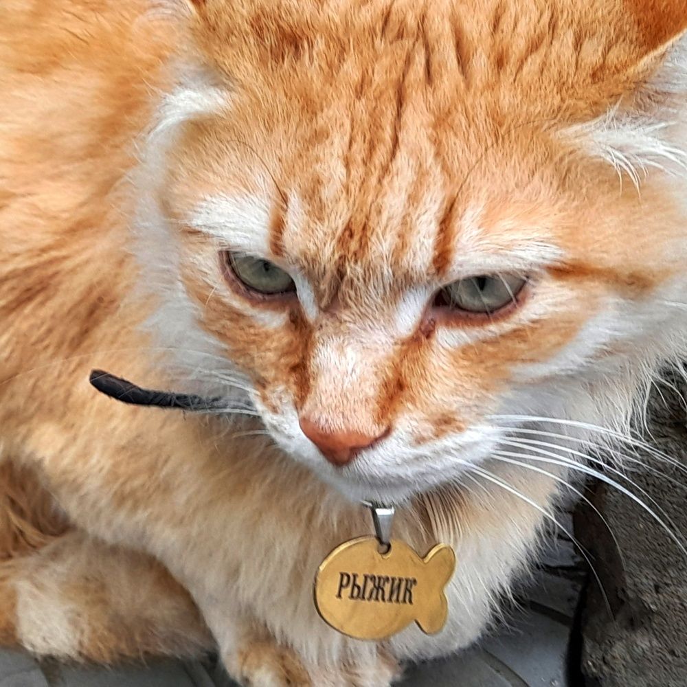 Photograph by Ольга Березовская